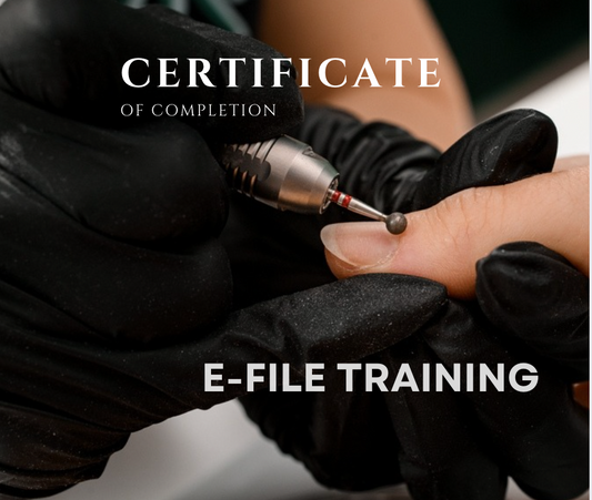 E-file Training Course